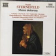 Sternefeld Daniel - Mater Dolorosa