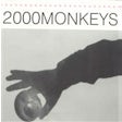 2000 Monkeys