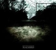 Some Pedestrians - Blackbird (CD EP scan)