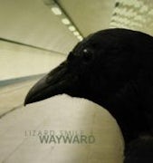 Lizard Smile - Wayward (CD album scan)