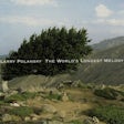 Larry Polansky - The world's longest melody