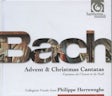 Bach - Advent & Christmas Cantatas