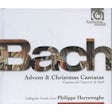 Bach - Advent & Christmas Cantatas