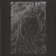 Annelies Monseré - Nest (Vinyl 10'' EP scan)