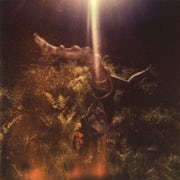 Orphan Fairytale - Comets come alive (Vinyl LP album scan)