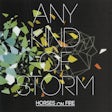 Any kind of storm