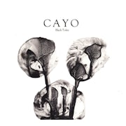 Black Tolex - Cayo (CD album scan)