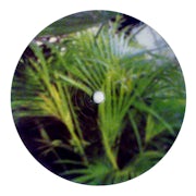 Bepotel - Startup label 1 (vinyl 12'' scan)