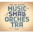 Music for a small orchestra