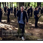Bert Joris, Brussels Jazz Orchestra - Smooth shake (CD album scan)