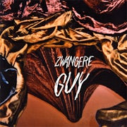 Zwangere Guy - Zwangerschapsverlof Vol. 3 (Vinyl LP album scan)