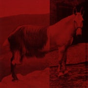 The Priceduifkes - Goathorse (Vinyl LP album scan)