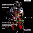 Stefan Prins - Augmented