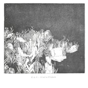 R.O.T. - Klein eiland (CD album scan)