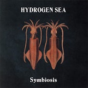 Hydrogen Sea - Symbiosis (Vinyl 12'' EP scan)