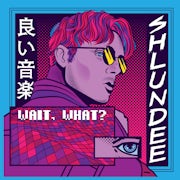 Shlundee - Wait, what? (Vinyl 10'' EP scan)