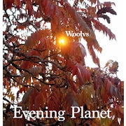 Woolvs - Evening Planet (Vinyl LP album scan)