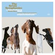 The Seven Symphonies: A Classical Tribute to Beach Boys Music
